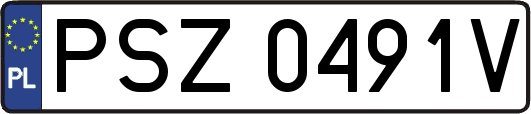 PSZ0491V