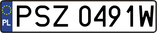 PSZ0491W