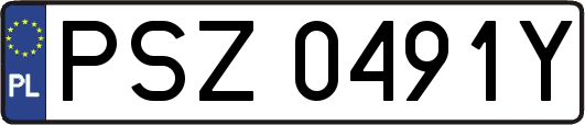 PSZ0491Y