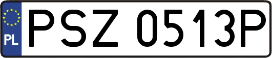 PSZ0513P
