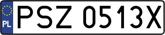 PSZ0513X