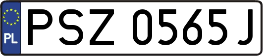 PSZ0565J