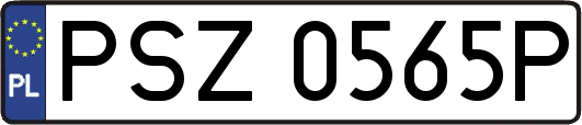 PSZ0565P