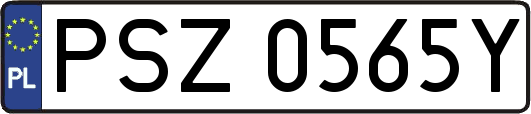 PSZ0565Y