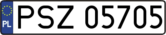 PSZ05705