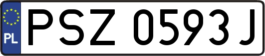 PSZ0593J