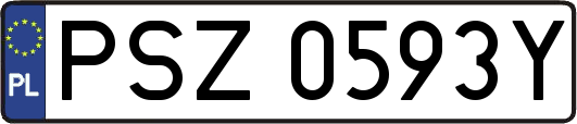 PSZ0593Y