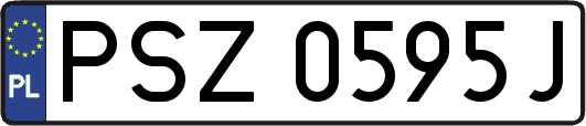 PSZ0595J