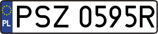 PSZ0595R