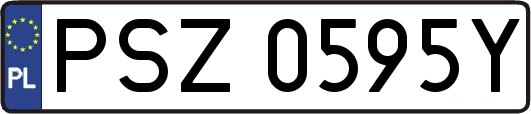 PSZ0595Y