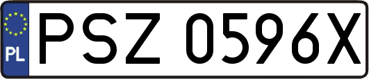 PSZ0596X
