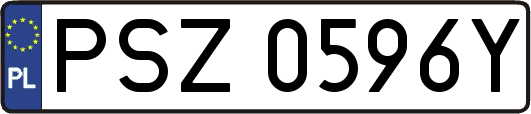 PSZ0596Y