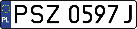PSZ0597J