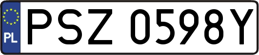 PSZ0598Y