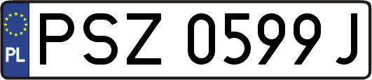 PSZ0599J