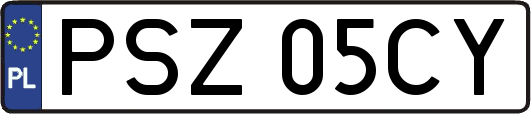 PSZ05CY