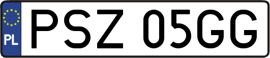 PSZ05GG