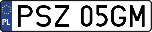 PSZ05GM