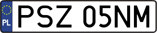 PSZ05NM