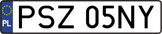 PSZ05NY