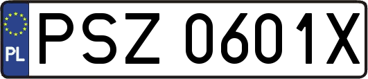 PSZ0601X