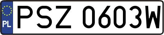 PSZ0603W