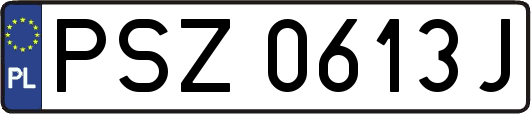 PSZ0613J