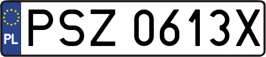PSZ0613X