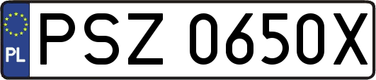 PSZ0650X