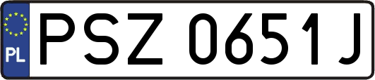 PSZ0651J
