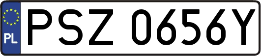 PSZ0656Y