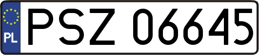 PSZ06645