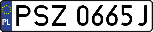 PSZ0665J