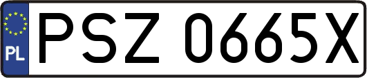 PSZ0665X