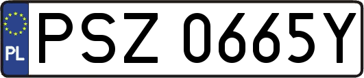 PSZ0665Y