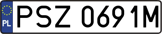 PSZ0691M