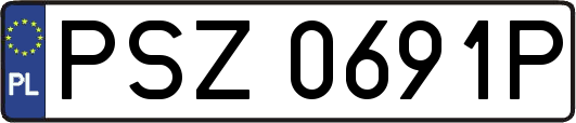 PSZ0691P