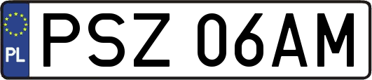 PSZ06AM