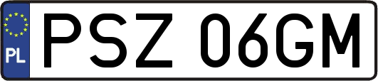 PSZ06GM