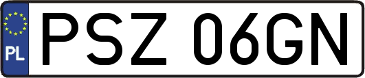 PSZ06GN