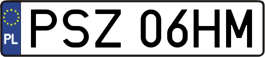PSZ06HM
