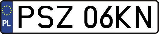 PSZ06KN
