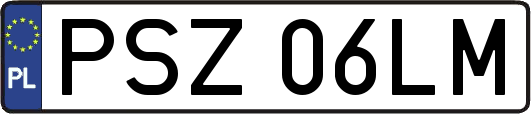 PSZ06LM