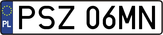 PSZ06MN