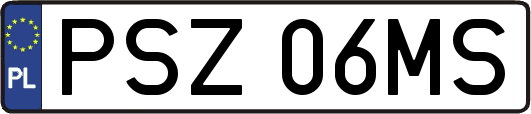 PSZ06MS