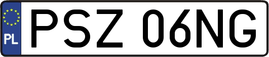 PSZ06NG