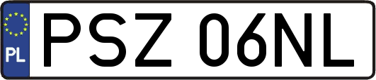 PSZ06NL