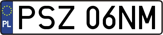 PSZ06NM