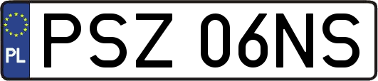 PSZ06NS