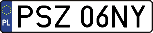 PSZ06NY